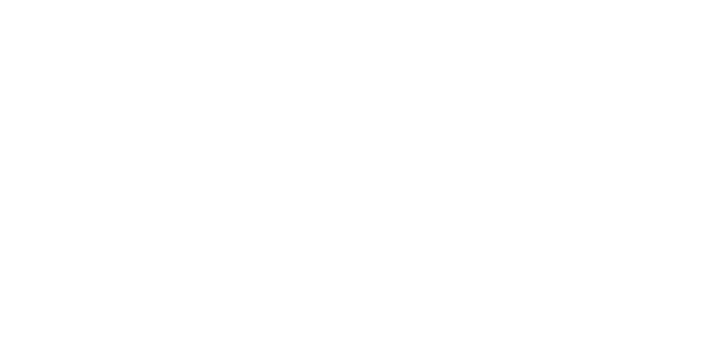 Pionýr